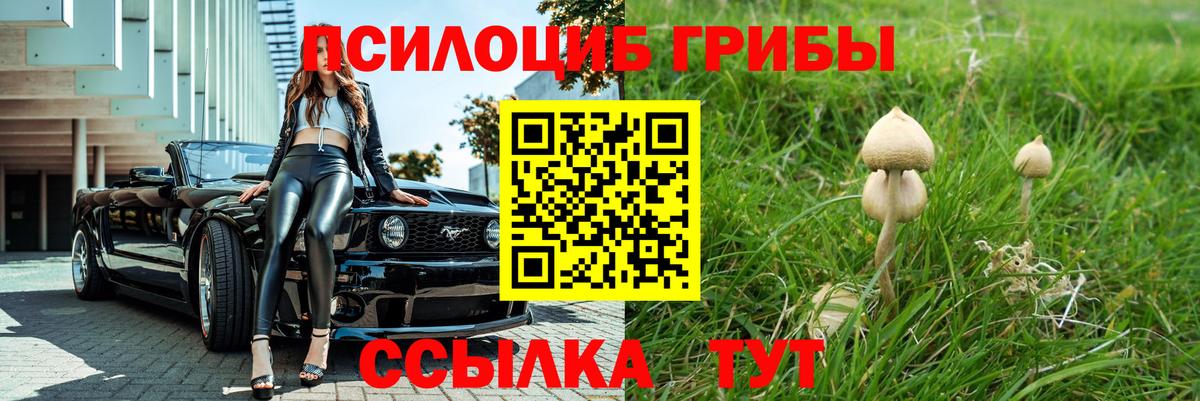 Лысьва  Псилоцибиновые грибы MAGIC MUSHROOMS  Вход с VPN  Галлюциногенные грибы прущие грибы 